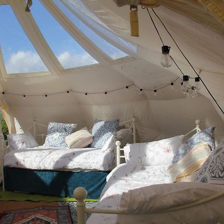 Tal-Y-Fan Farm 6M Stargazer Tent 브리젠드 외부 사진