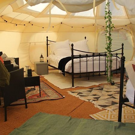 Tal-Y-Fan Farm 6M Stargazer Tent 브리젠드 외부 사진