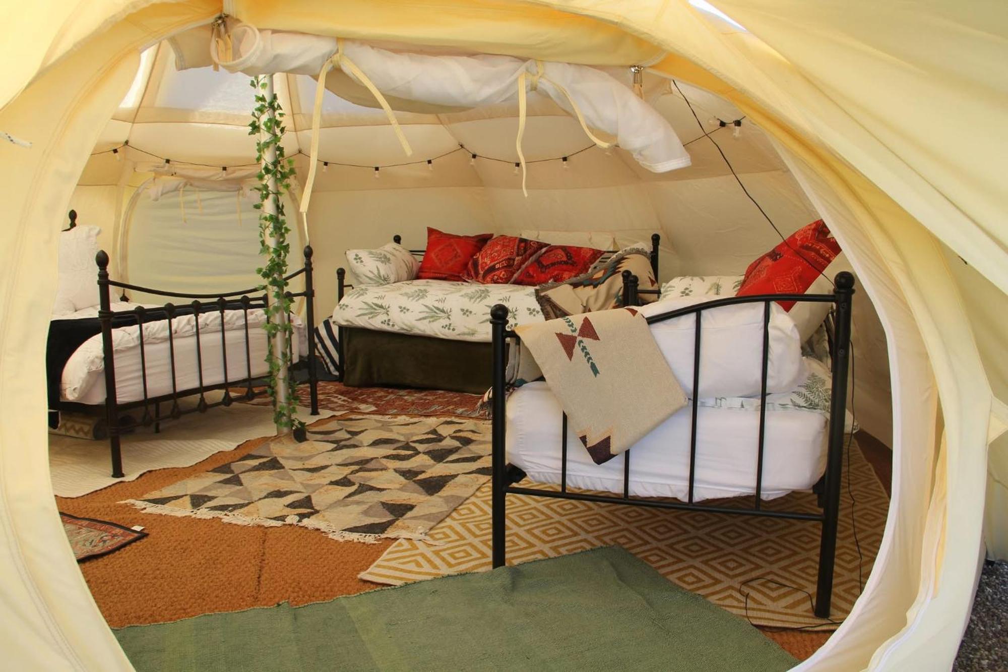 Tal-Y-Fan Farm 6M Stargazer Tent 브리젠드 외부 사진